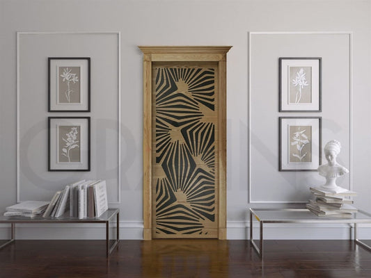 Aesthetic Door